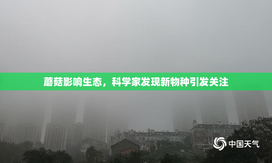蘑菇影响生态，科学家发现新物种引发关注