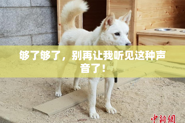 够了够了，别再让我听见这种声音了！