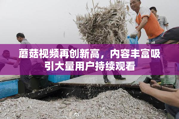 蘑菇视频再创新高，内容丰富吸引大量用户持续观看