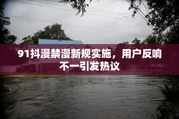 91抖漫禁漫新规实施，用户反响不一引发热议