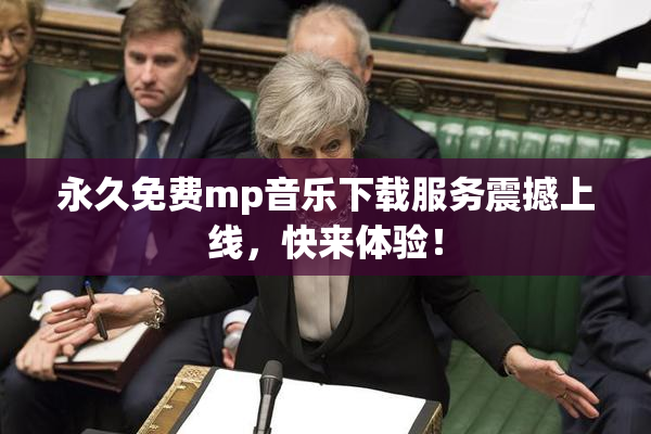 永久免费mp音乐下载服务震撼上线，快来体验！