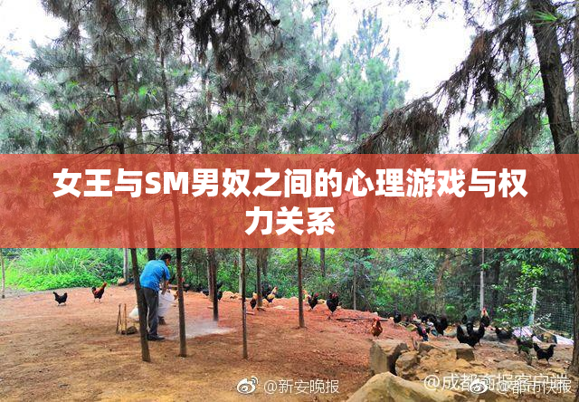 女王与SM男奴之间的心理游戏与权力关系