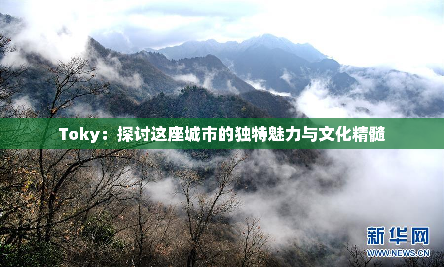 Toky：探讨这座城市的独特魅力与文化精髓