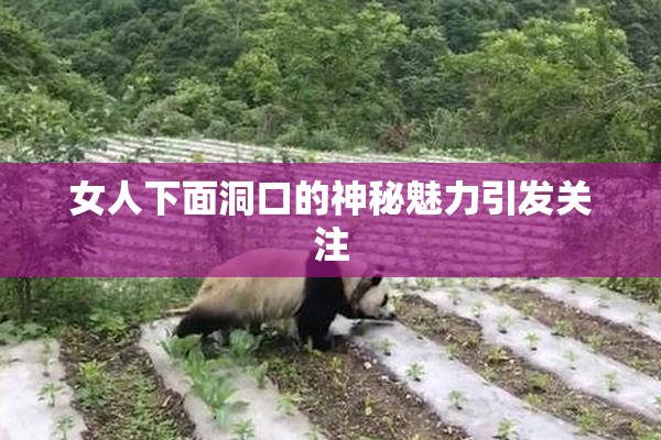 女人下面洞口的神秘魅力引发关注