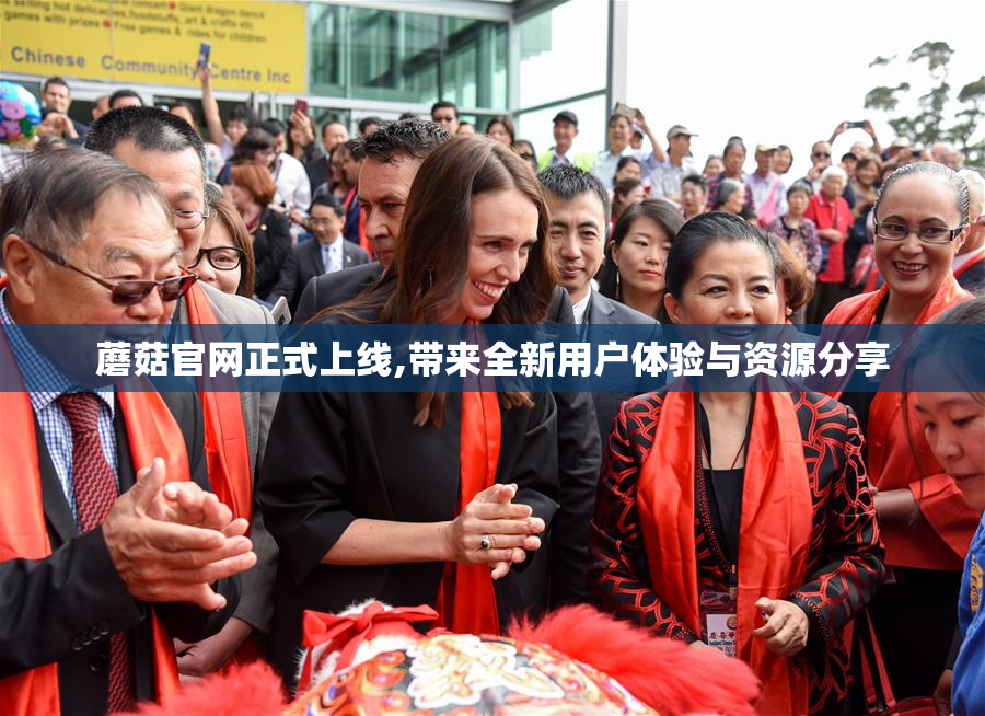 蘑菇官网正式上线,带来全新用户体验与资源分享