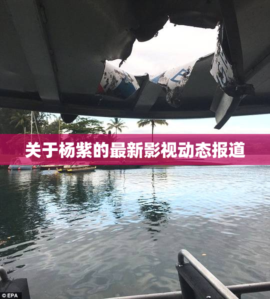 关于杨紫的最新影视动态报道