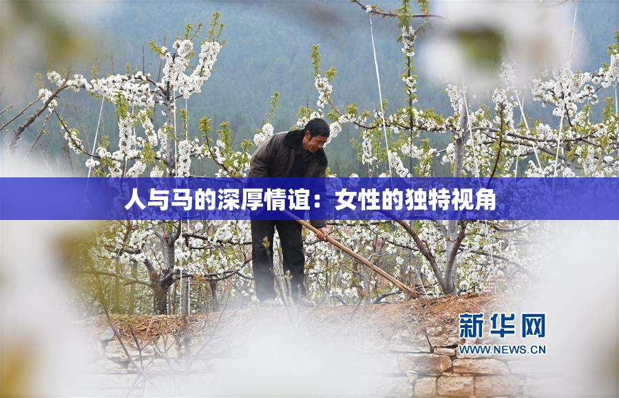 人与马的深厚情谊：女性的独特视角