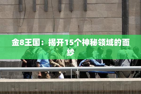 金8王国：揭开15个神秘领域的面纱