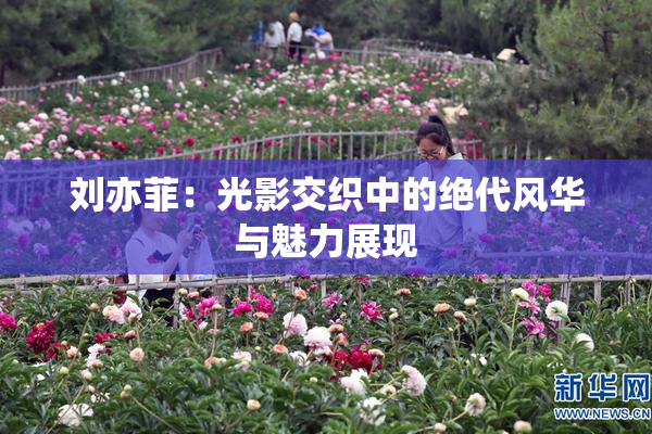 刘亦菲：光影交织中的绝代风华与魅力展现