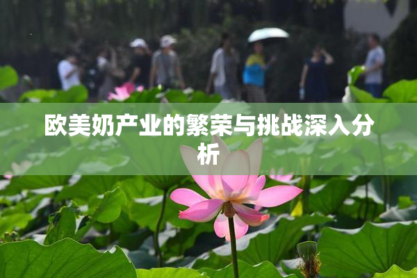 欧美奶产业的繁荣与挑战深入分析