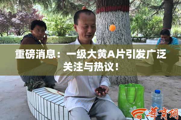 重磅消息：一级大黄A片引发广泛关注与热议！