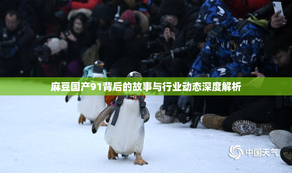 麻豆国产91背后的故事与行业动态深度解析