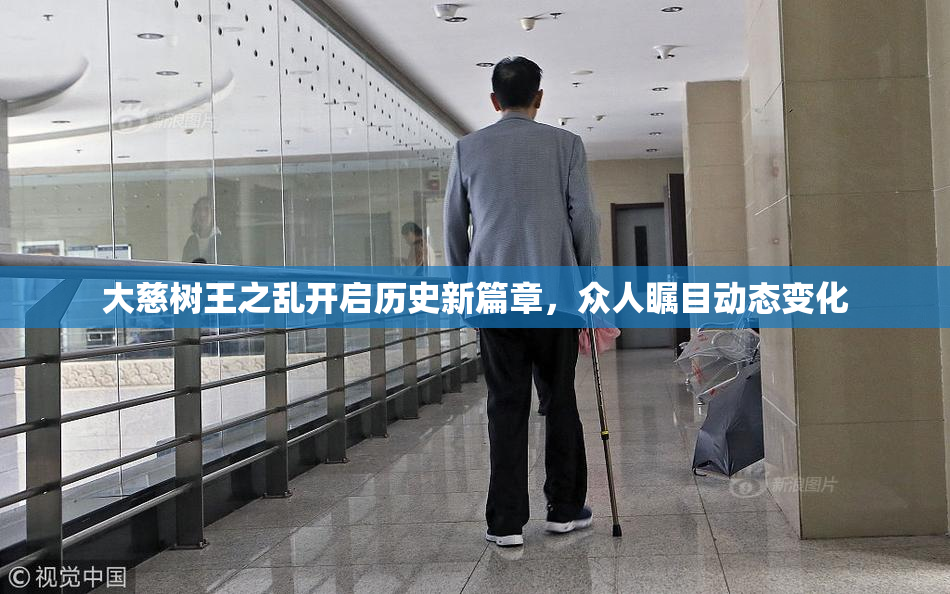 大慈树王之乱开启历史新篇章，众人瞩目动态变化