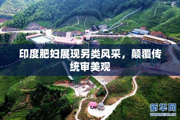 印度肥妇展现另类风采，颠覆传统审美观