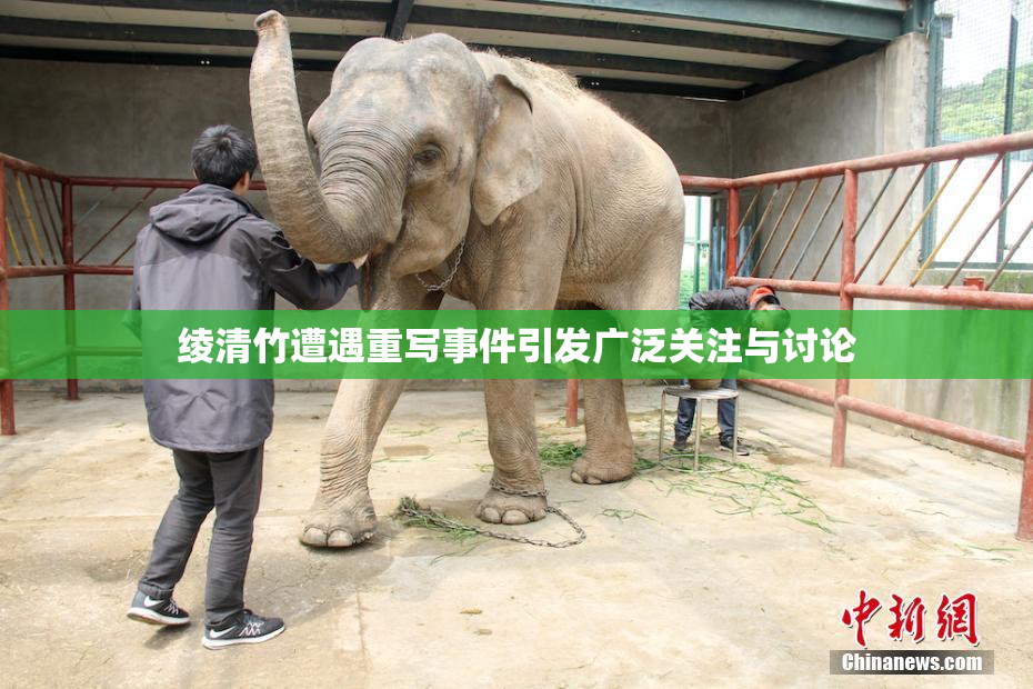 绫清竹遭遇重写事件引发广泛关注与讨论