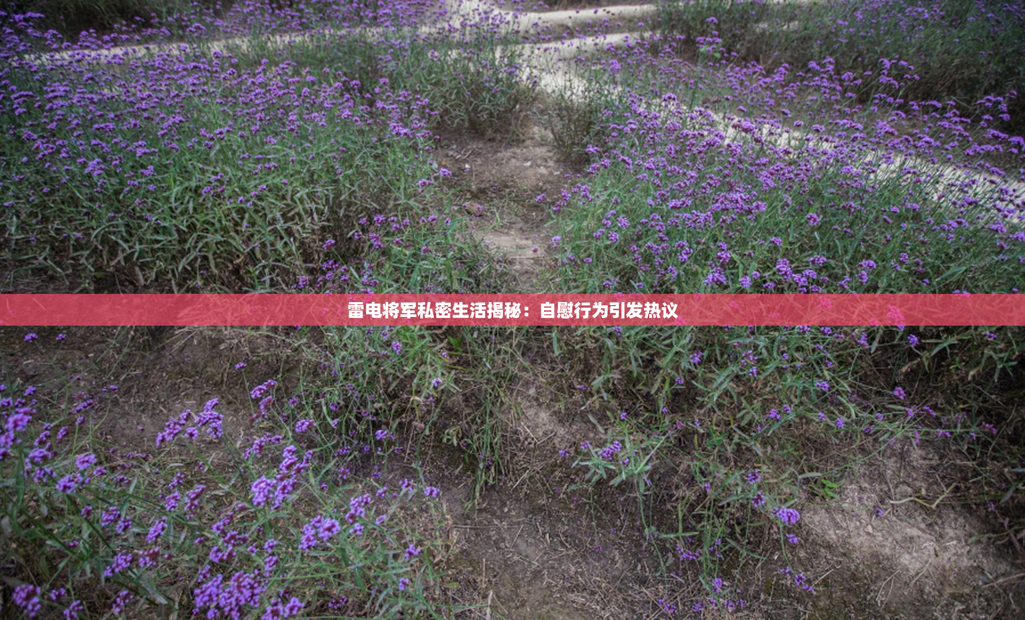 雷电将军私密生活揭秘：自慰行为引发热议