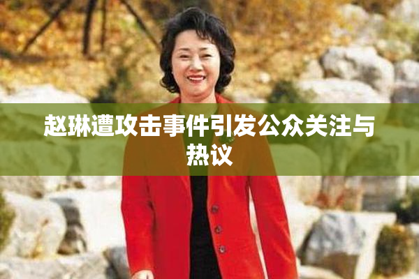 赵琳遭攻击事件引发公众关注与热议
