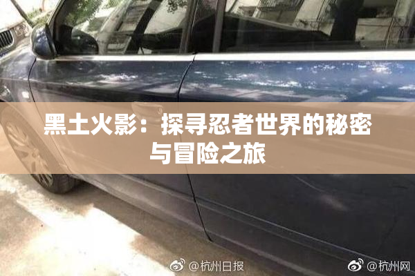 黑土火影：探寻忍者世界的秘密与冒险之旅