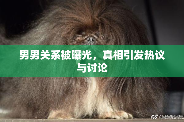 男男关系被曝光，真相引发热议与讨论