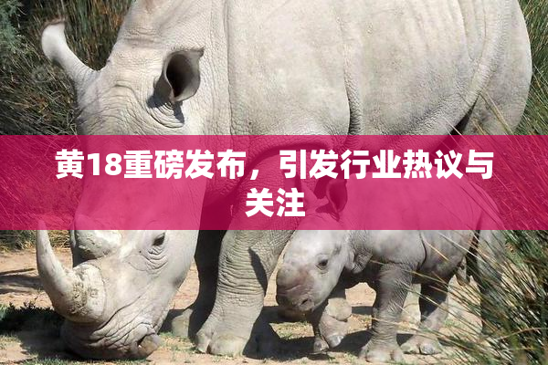 黄18重磅发布，引发行业热议与关注