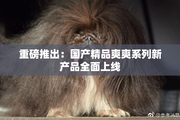 重磅推出：国产精品爽爽系列新产品全面上线