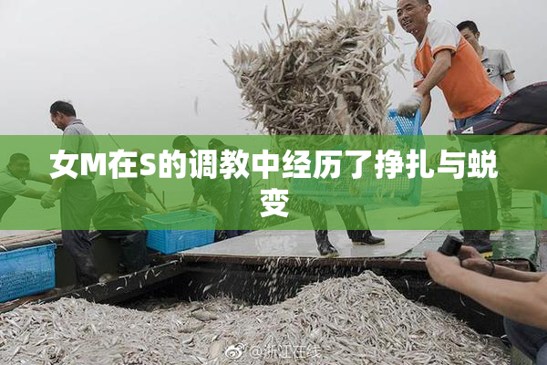 女M在S的调教中经历了挣扎与蜕变