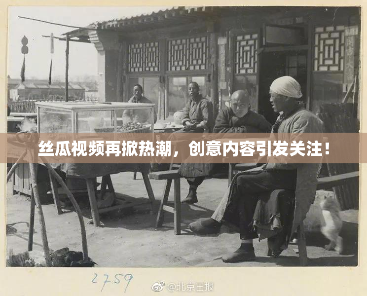 丝瓜视频再掀热潮，创意内容引发关注！