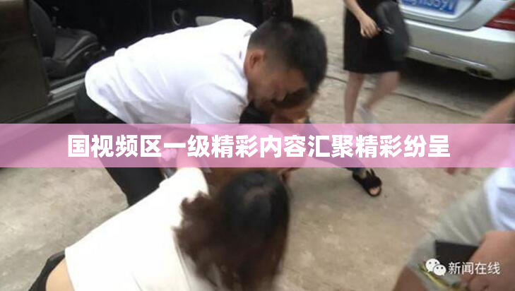 国视频区一级精彩内容汇聚精彩纷呈