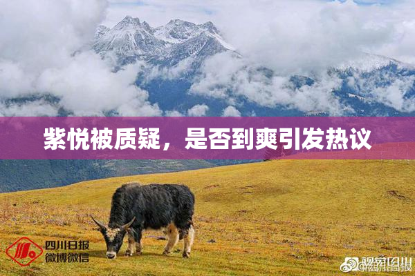 紫悦被质疑，是否到爽引发热议