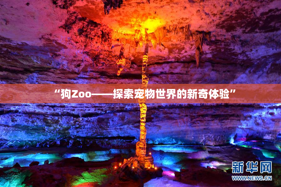 “狗Zoo——探索宠物世界的新奇体验”