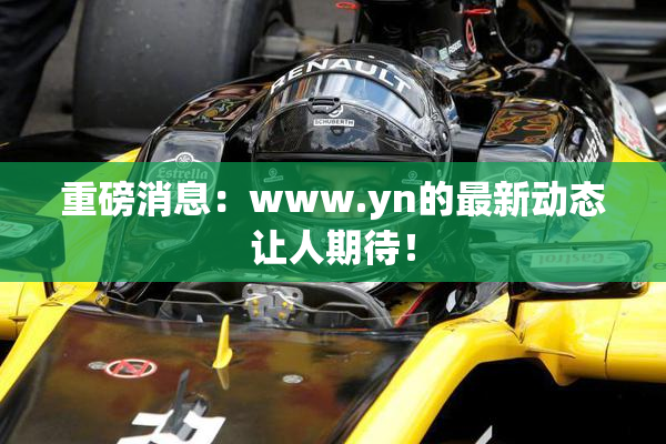 重磅消息：www.yn的最新动态让人期待！