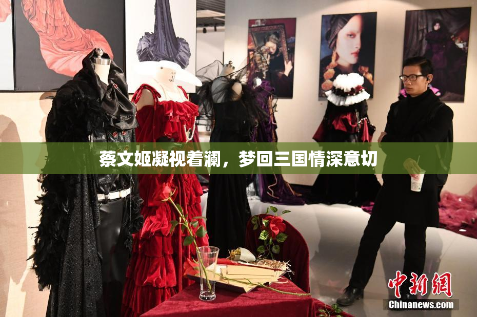 蔡文姬凝视着澜，梦回三国情深意切