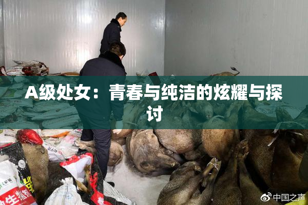 A级处女：青春与纯洁的炫耀与探讨