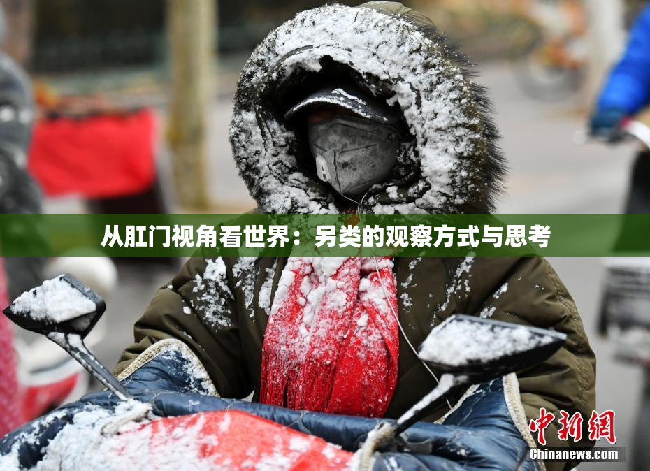 从肛门视角看世界：另类的观察方式与思考