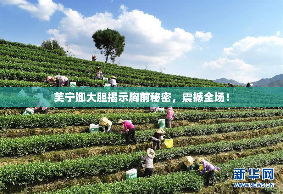 芙宁娜大胆揭示胸前秘密，震撼全场！