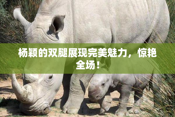 杨颖的双腿展现完美魅力，惊艳全场！