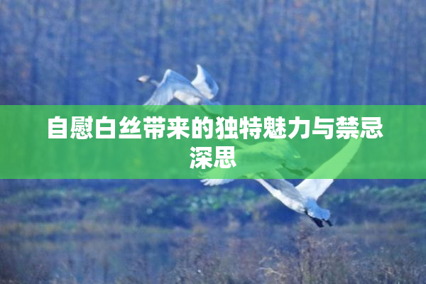 自慰白丝带来的独特魅力与禁忌深思