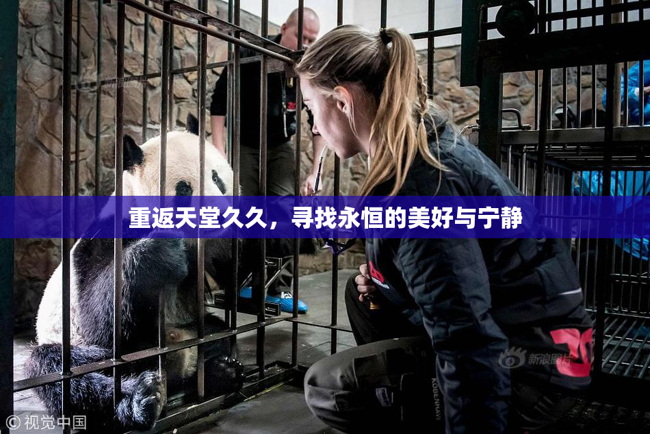 重返天堂久久，寻找永恒的美好与宁静