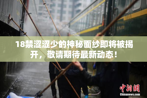 18禁涩涩少的神秘面纱即将被揭开，敬请期待最新动态！