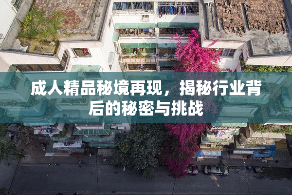 成人精品秘境再现，揭秘行业背后的秘密与挑战