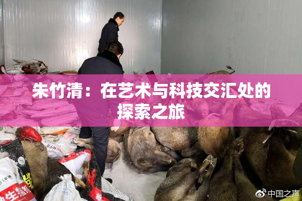 朱竹清：在艺术与科技交汇处的探索之旅