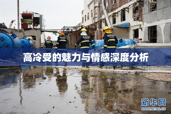 高冷受的魅力与情感深度分析