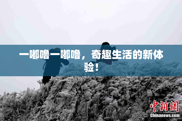 一嘟噜一嘟噜，奇趣生活的新体验！