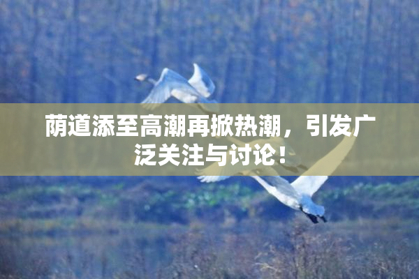 荫道添至高潮再掀热潮，引发广泛关注与讨论！