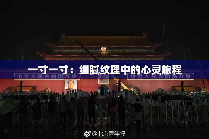 一寸一寸：细腻纹理中的心灵旅程