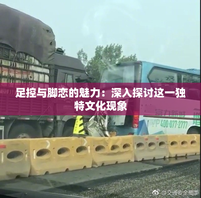 足控与脚恋的魅力：深入探讨这一独特文化现象