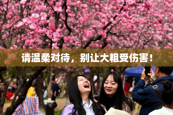 请温柔对待，别让大粗受伤害！