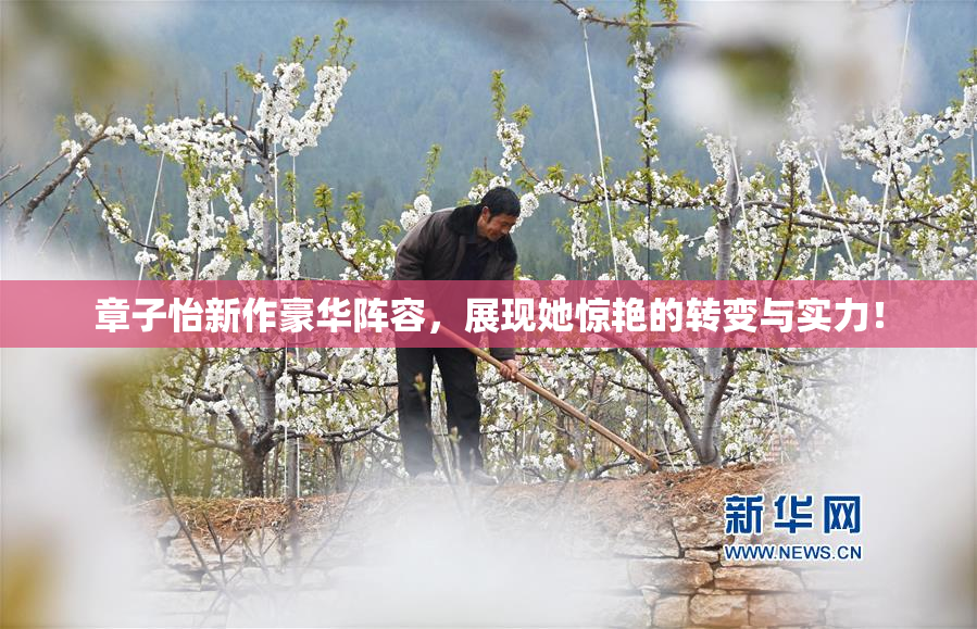 章子怡新作豪华阵容，展现她惊艳的转变与实力！