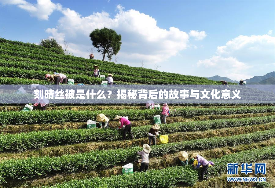 刻晴丝被是什么？揭秘背后的故事与文化意义