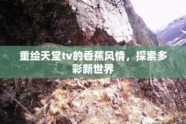 重绘天堂tv的香蕉风情，探索多彩新世界